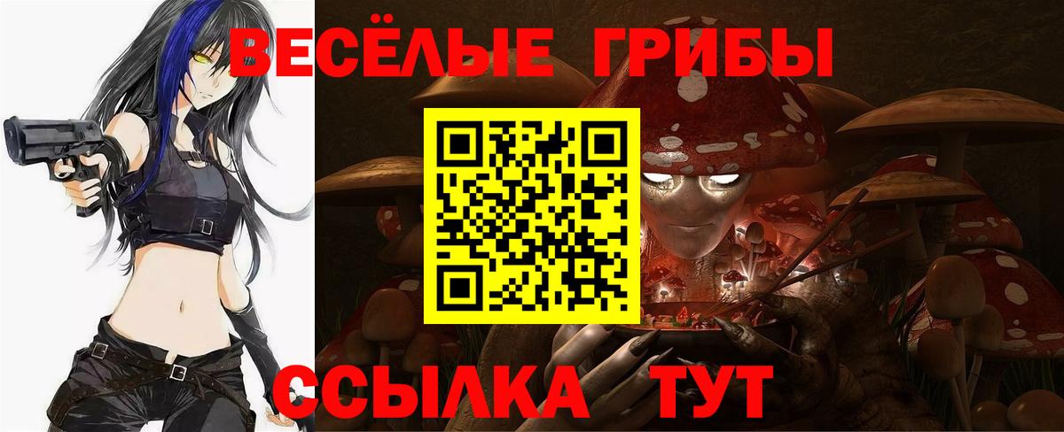 Псилоцибиновые грибы Cubensis Глазов